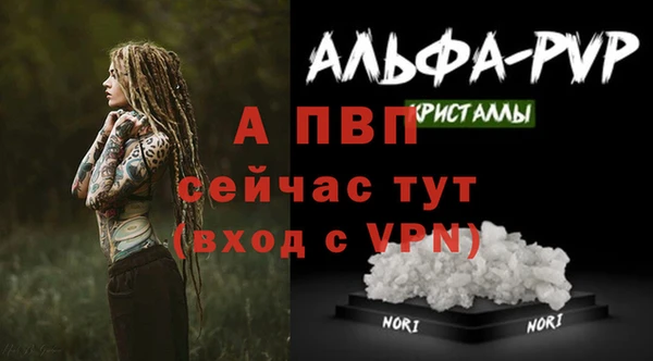 Альфа ПВП Бугульма