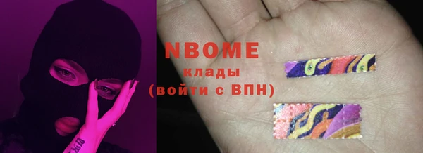 прущие грибы Богородицк