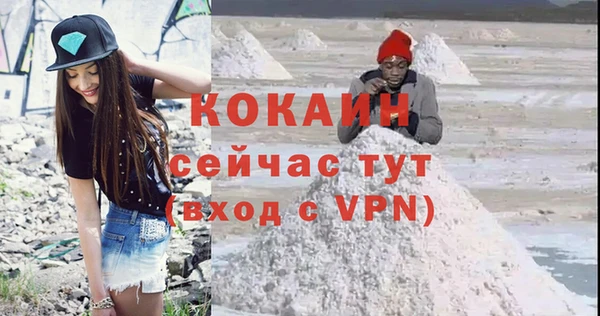 прущие грибы Богородицк