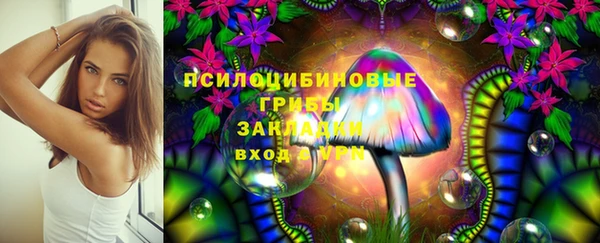 крисы Богданович