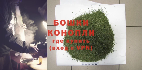 прущие грибы Богородицк