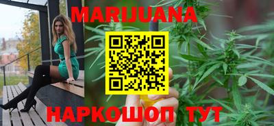 сатива Балахна