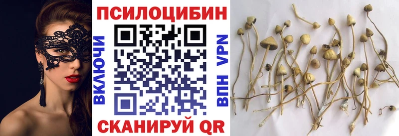 Галлюциногенные грибы MAGIC MUSHROOMS omg маркетплейс Валуйки купить