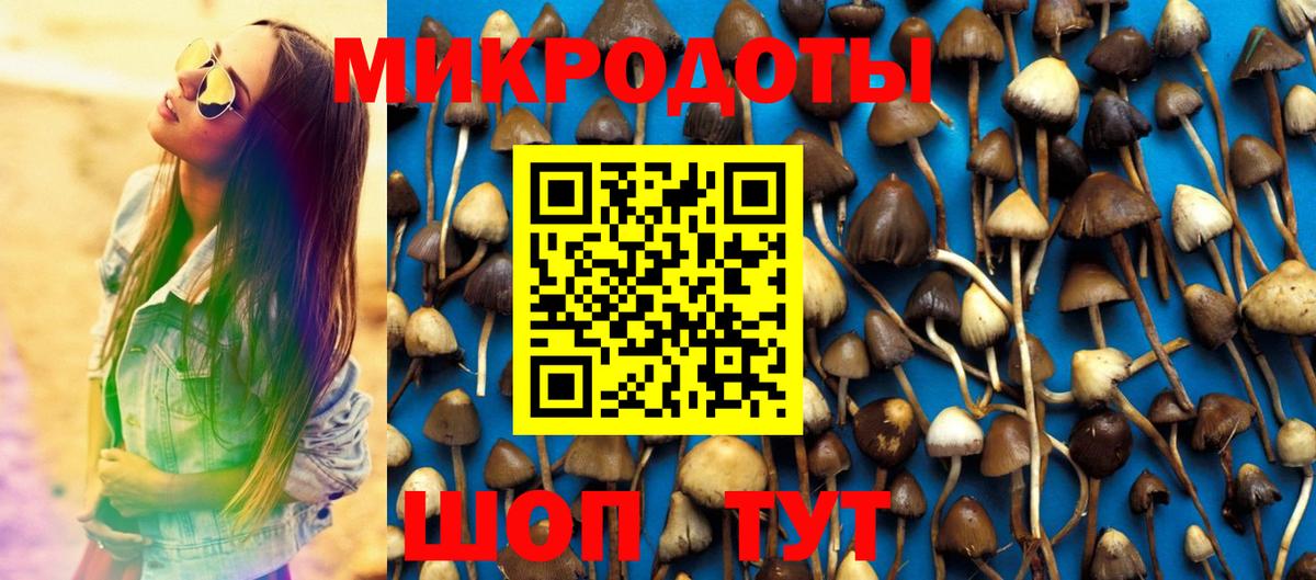 Псилоцибиновые грибы прущие грибы Валуйки