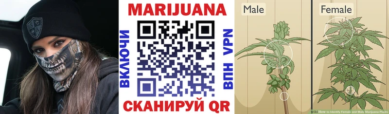 Марихуана THC 21%  Валуйки 
